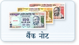 Bank Notes