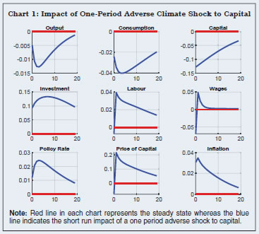 Chart 1: Impact of One-Period Adverse Climate Shock to Capital
