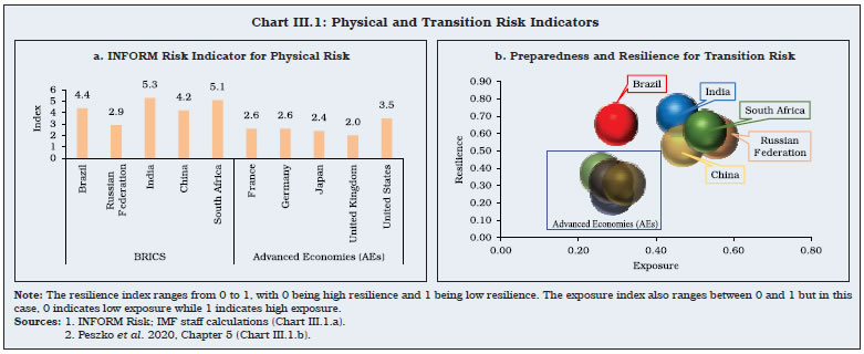 Chart III.1: Physical and Transition Risk Indicators