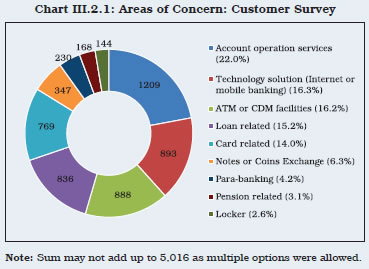 Chart III.2.1: Areas of Concern: Customer Survey