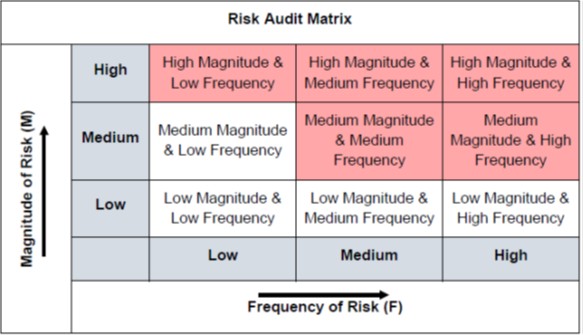 Risk Audit Matrix 