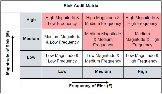 Risk Audit Matrix