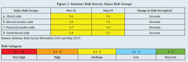 Figure 1: Systemic Risk Survey: Major Risk Groups