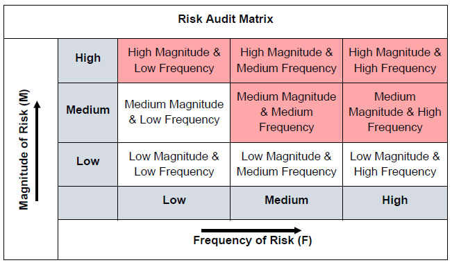 Risk Audit Matrix