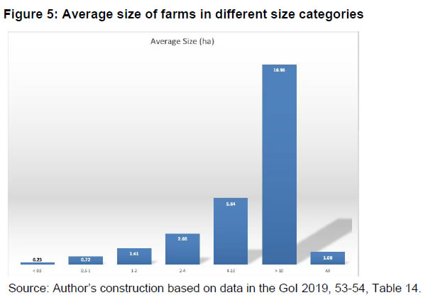 Figure 5: Average size of farms in different size categories