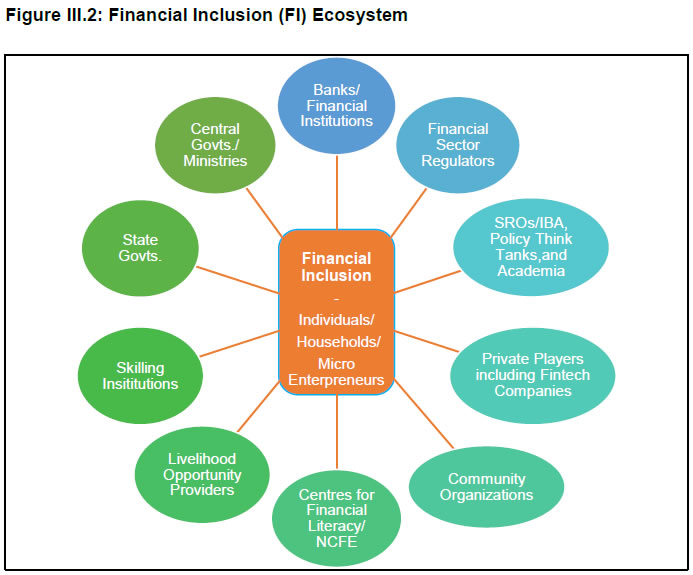 Figure III.2: Financial Inclusion (FI) Ecosystem