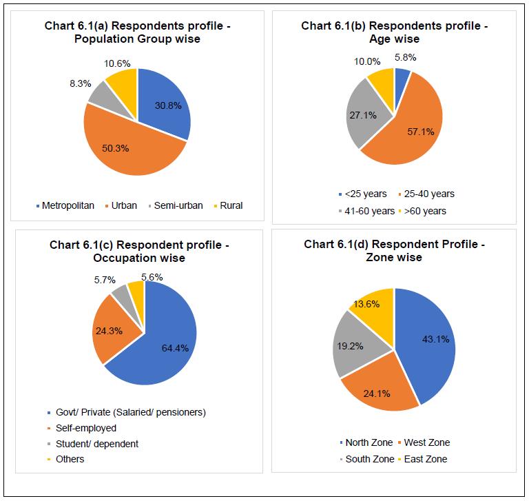 Chart 6.1 Respondents profilee
