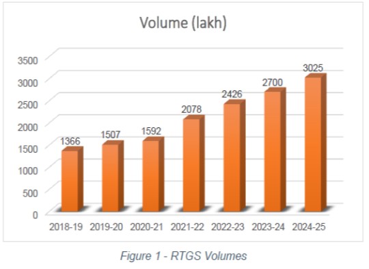 Figure 1 - RTGS Volumes