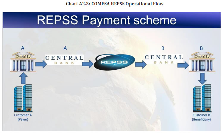 Chart A2.3: COMESA REPSS Operational Flow