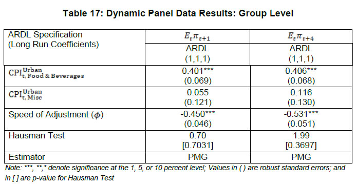Table 17: Dynamic Panel Data Results: Group Level